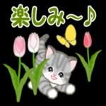 ころころ子猫 春の野原でかくれんぼ