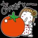 はな子※夏真っ盛り日常。