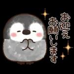ふんわりペンちゃん【家族連絡用】
