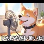 夏の天気をお知らせする柴犬【便利・日常】
