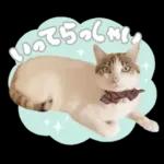 まるちゃんスタンプ＃1