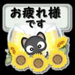 ◯おなか◯ 冷やさないで