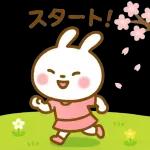 ✨白うさぎさん🐰