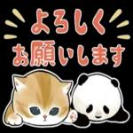 願いが叶いますように！