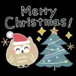 🕯️ロマンチックなクリスマスディナー🍷