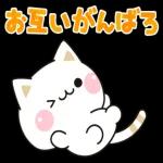 気づかいのできるネコ♪