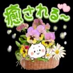 お疲れ様でした🤭