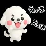 ず～っと使える♡かわいいトイプーさん♡白