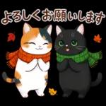 三毛猫のつめあわせ【秋】