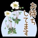 花の挨拶文