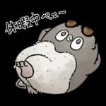 【夏】虚無かわいいアデリーペンギン