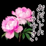 毎日使える お花 敬語✿大人上品お花