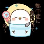夏気分いっぱいひよこ