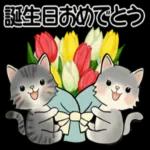 誕生日おめでとう