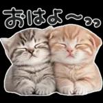 やる気ゼロ♡にゃんこ