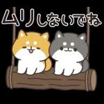 お返事シバイヌくん(ポジティブ)