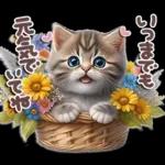 ねこちぃずNEO★やさしい秋スタンプ