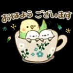 敬語が話せる！もふもふインコ