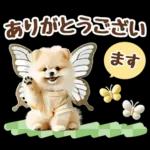 癒しポメラニアンの春のあいさつ