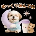 大人可愛いシーズーで梅雨の気づかい敬語