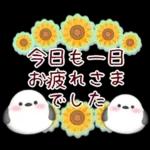 【シマエナガです】花束/夏のひまわり4