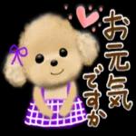 天気&夏の♡でか文字スタンプ