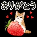 使いやすい挨拶☆猫たちのスタンプ