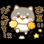 一緒に	遊ぼよ🥰🥰🥰