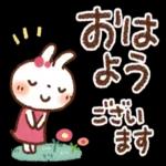 毎日便利✨白うさぎさん_-_