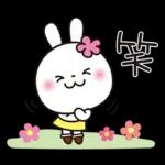 優しい2!!かわいい白うさぎ