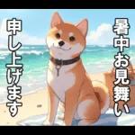 夏の天気をお知らせする柴犬【便利・日常】