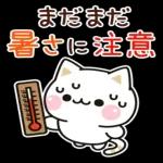 秋の気づかいのできるネコ♪飛び出す！