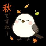「ほっこり秋のひとこと」