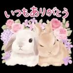 めっちゃ可愛い🫣🫣🫣