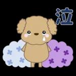 🐶犬の冒険物語