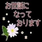 寒くなりましたね〜お体を大切に〜