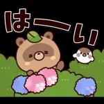 ポップアップ！しゃべるタヌキ8