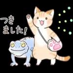 スナネコのサシャ 2