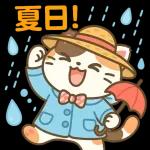 雨の多い夏に暮らす三毛猫の物語