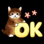 毎日☆猫たちのスタンプ