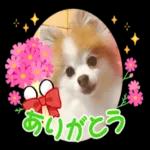明日から本気出す！！