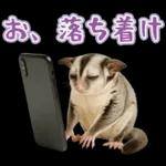 フクロモモンガ❤実りの秋は大豊作