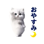 踊る！ペルシャ猫