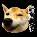 Premium 柴犬こてつ君*スタンプ第二弾