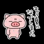 ぶたたの夏（1）🐷