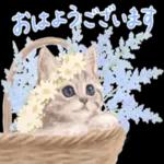 おはようございます