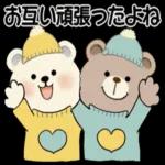 かわいい熊🐻が来ますよ！