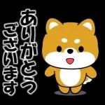 いいね	👍👍👍