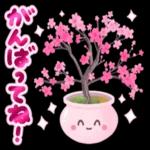 桜が満開の春に使えるスタンプです