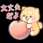 愛する人に感謝を送る❤️いやしばいぬ赤柴